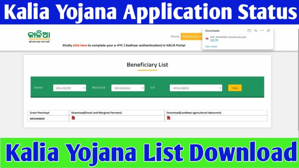 Kalia Yojana Application Status 2024